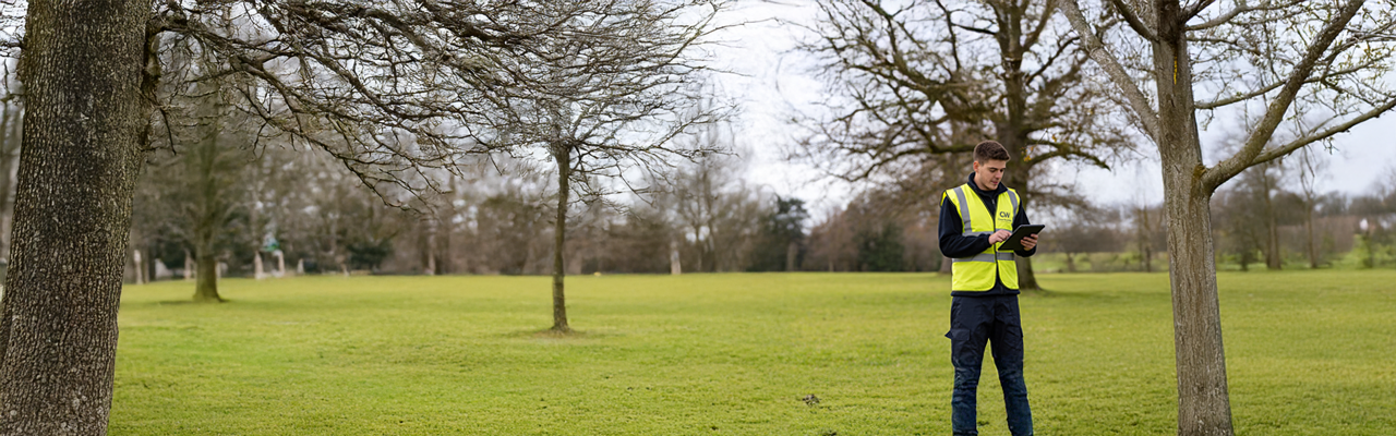 Tree Survey