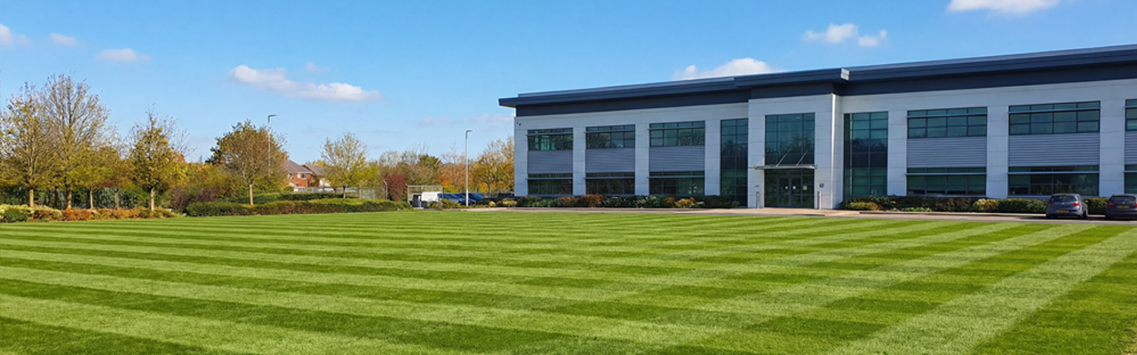 Commercial Lawn