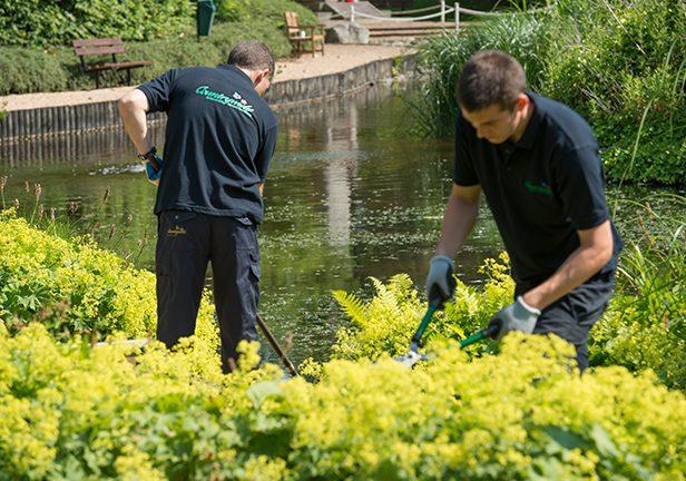 Two men in Countrywide uniform tending to the hedges next to a pond