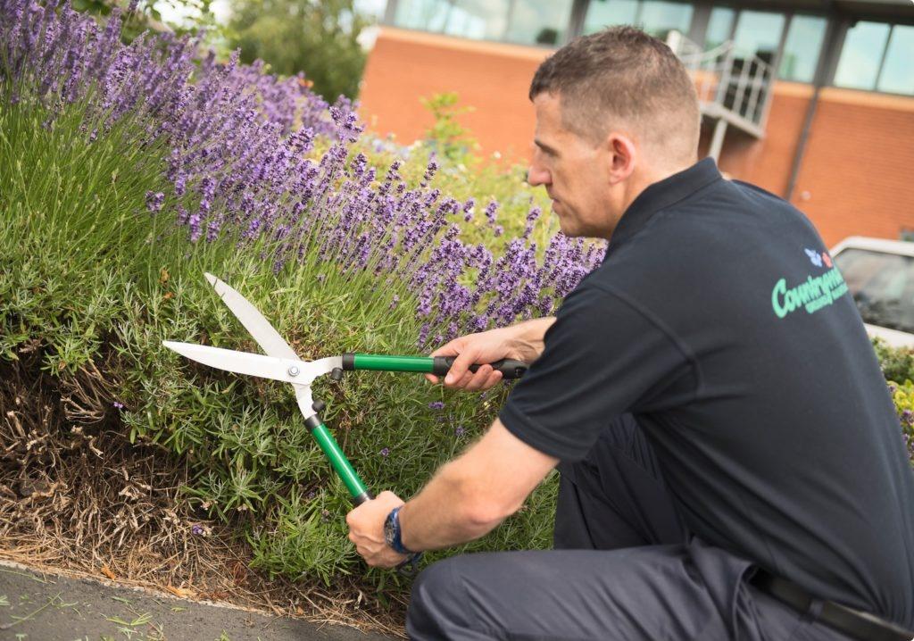 About Us Countrywide Grounds Maintenance