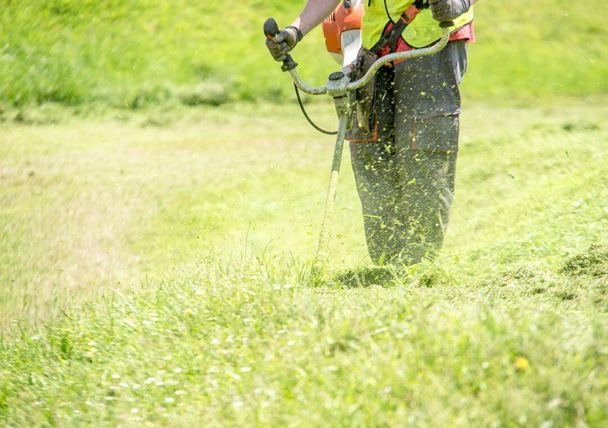 site clearance and waste removal