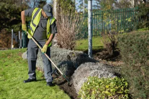 man hoeing a garden with plants