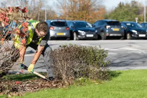 man digging up garden