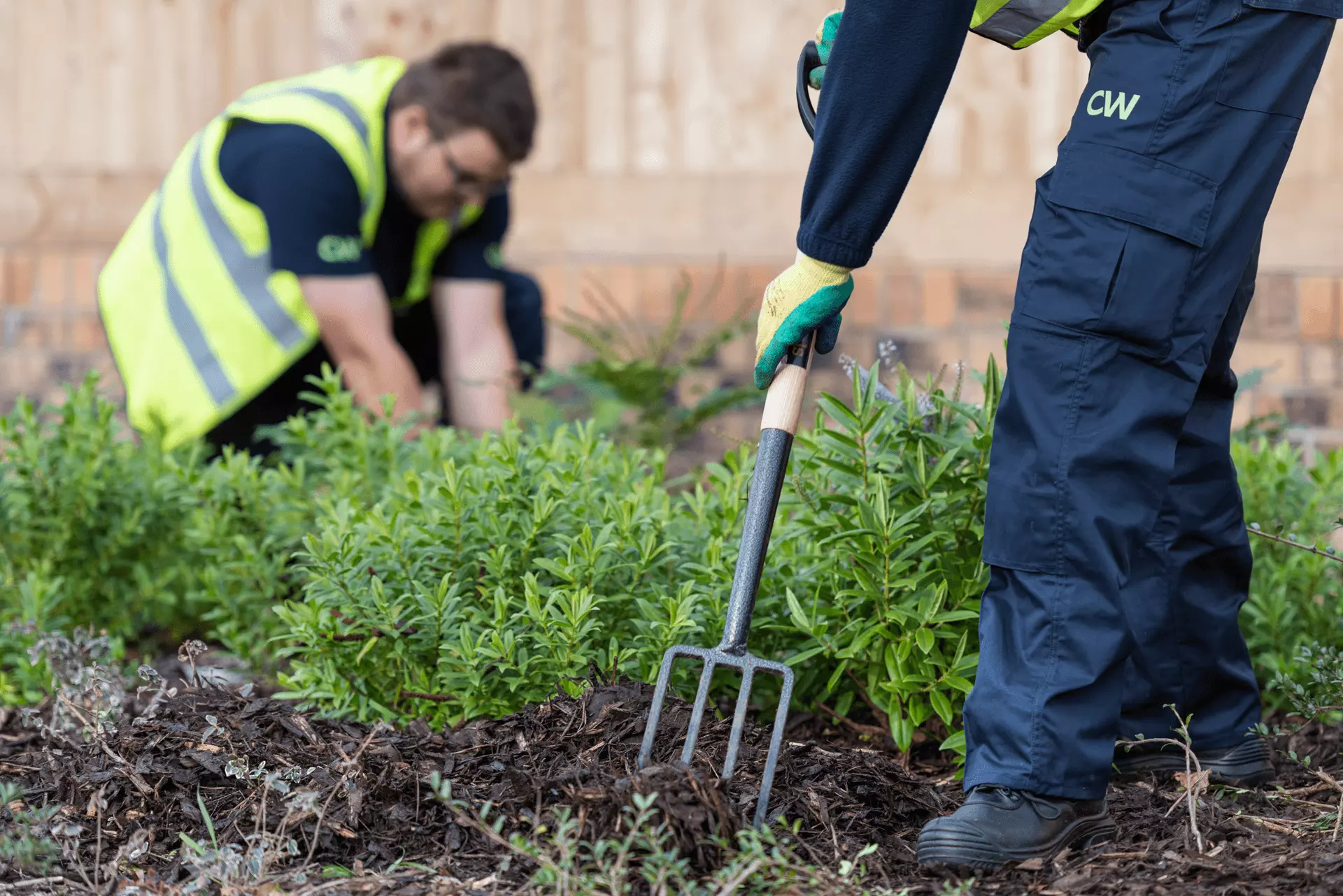 person hoeing a flower bed