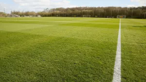 football pitch
